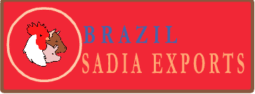 Final Logo